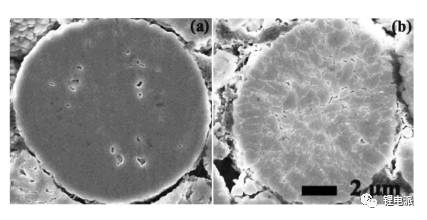 循環(huán)前后充電機充電蓄電池正極SEM圖譜