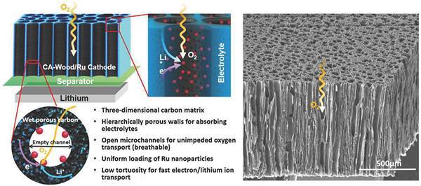 以碳化活性木頭/釕為正極的充電機(jī)充電鋰氧蓄電池示意圖 以碳化活性木頭/釕為正極的充電機(jī)充電鋰氧蓄電池示意圖