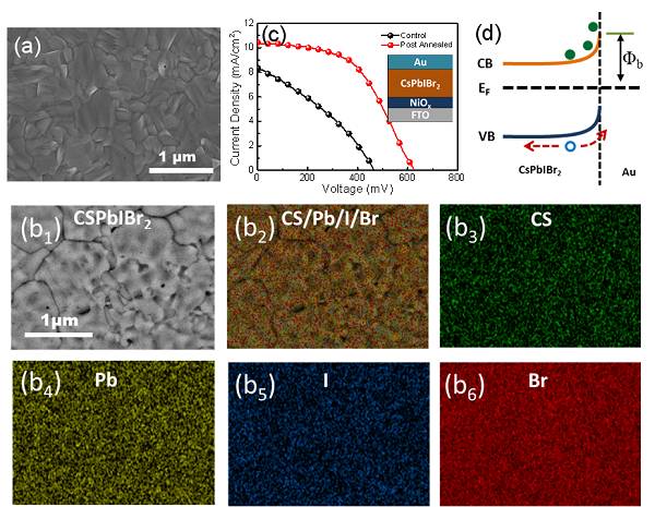 提升全無機鈣鈦礦充電機充電太陽能蓄電池性能的超薄MoOx陰極緩沖層材料是個什么東東？