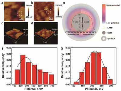 增強(qiáng)充電機(jī)充電固態(tài)蓄電池的界面動(dòng)力學(xué)的離子導(dǎo)體層減弱正極-固態(tài)電解質(zhì)的界面電位研究 增強(qiáng)充電機(jī)充電固態(tài)蓄電池的界面動(dòng)力學(xué)的離子導(dǎo)體層減弱正極-固態(tài)電解質(zhì)的界面電位研究