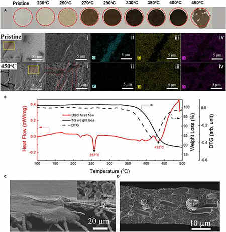 無內(nèi)部短路的充電機(jī)充電鋰離子蓄電池?zé)崾Э? alt=